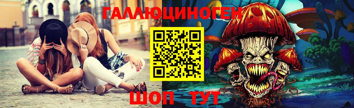Псилоцибиновые грибы Psilocybine cubensis Лениногорск