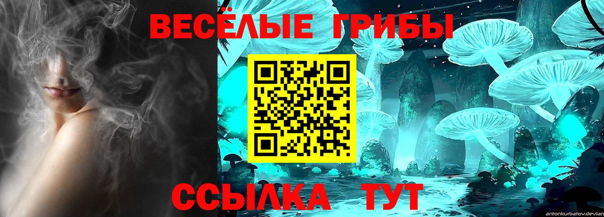 купить закладку  Вход с VPN  Лениногорск  Псилоцибиновые грибы Cubensis 